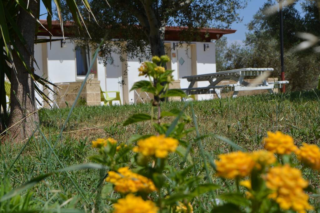 Agriturismo "Terra D'Ulivi" Villa Porto Cesareo Ngoại thất bức ảnh